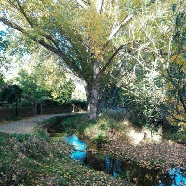 Casa Rural El Riandero Linares de la Sierra Kültér fotó