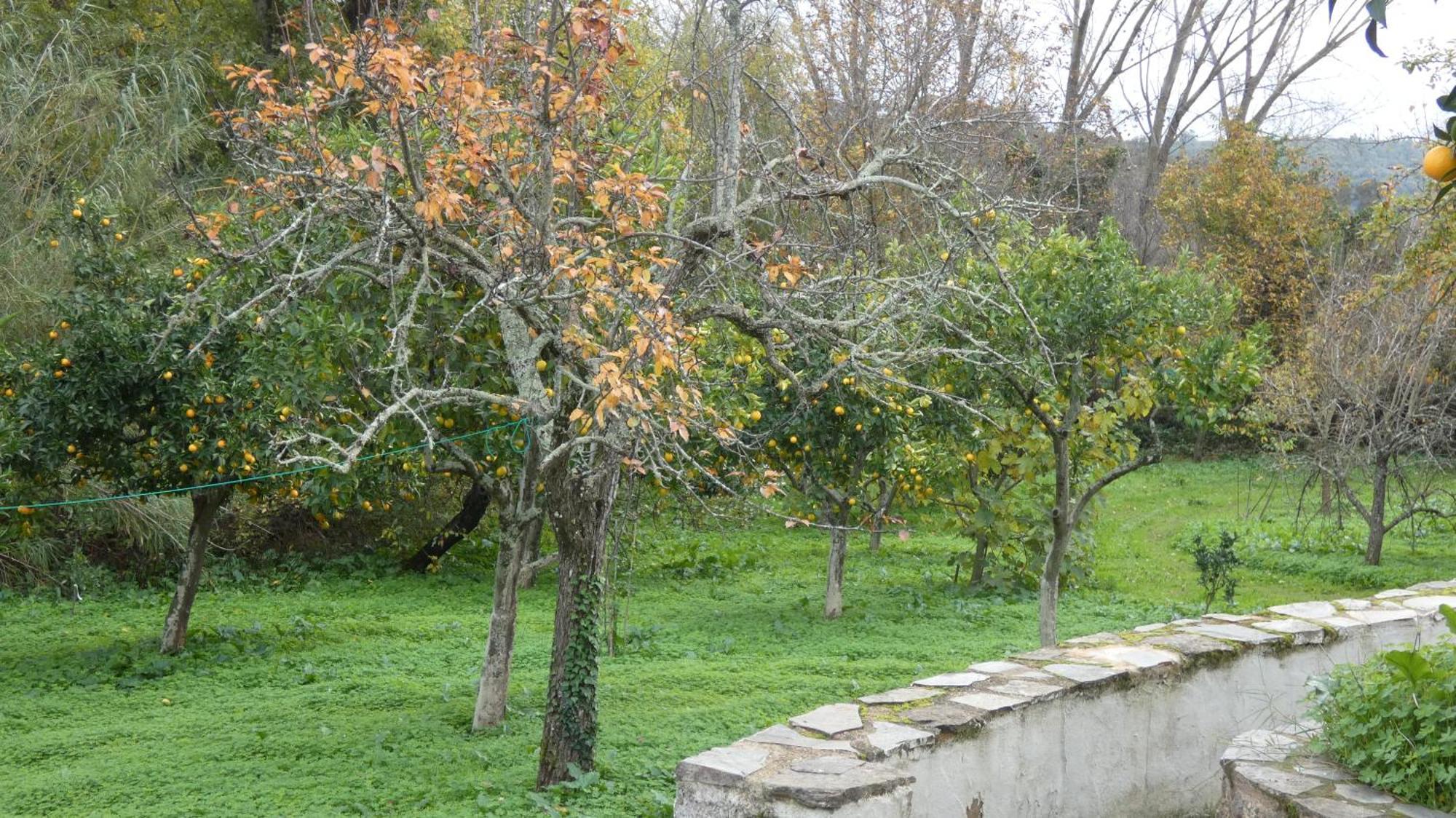 Casa Rural El Riandero Linares de la Sierra Kültér fotó
